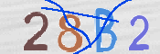 CAPTCHA-Bild
